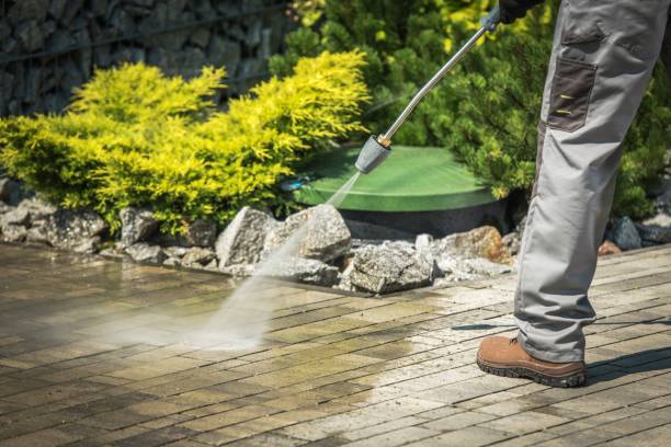 Best Solar Panel Cleaning  in Bear Creek Ranch, TX