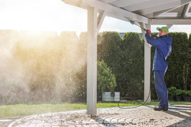 Animal Enclosure Cleaning in Bear Creek Ranch, TX
